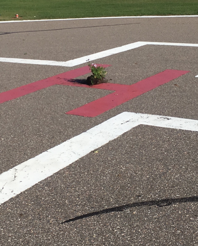RCMP said 10 aviation lights and three lenses were broken and a planter was left in the centre of the helipad at the hospital in Elk Point, Alta. Sept. 11, 2017.