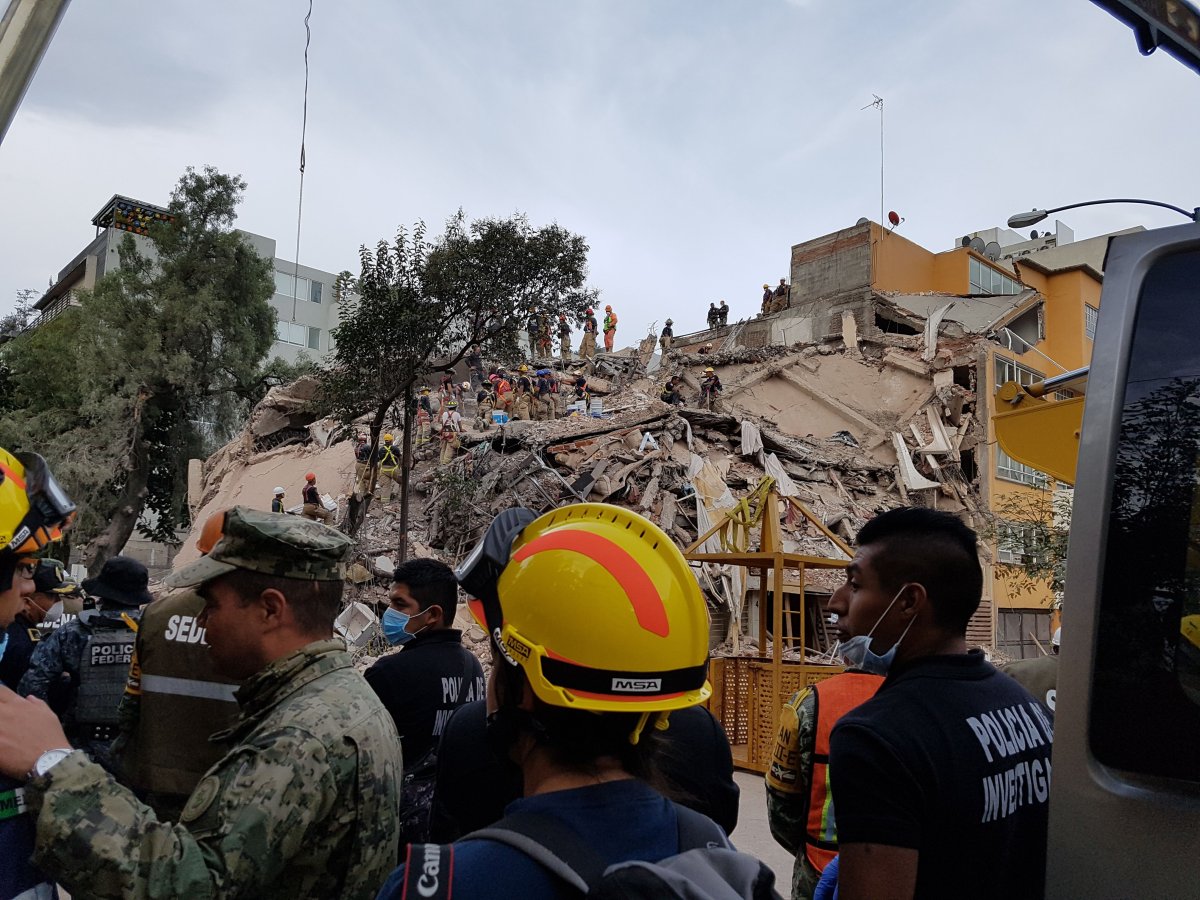 Canadian rescue dogs help search for survivors after Mexico earthquakes ...