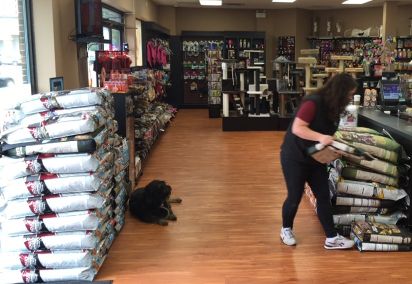 Pet Valu employees pack dog and cat food for evacuees on Sunday. 