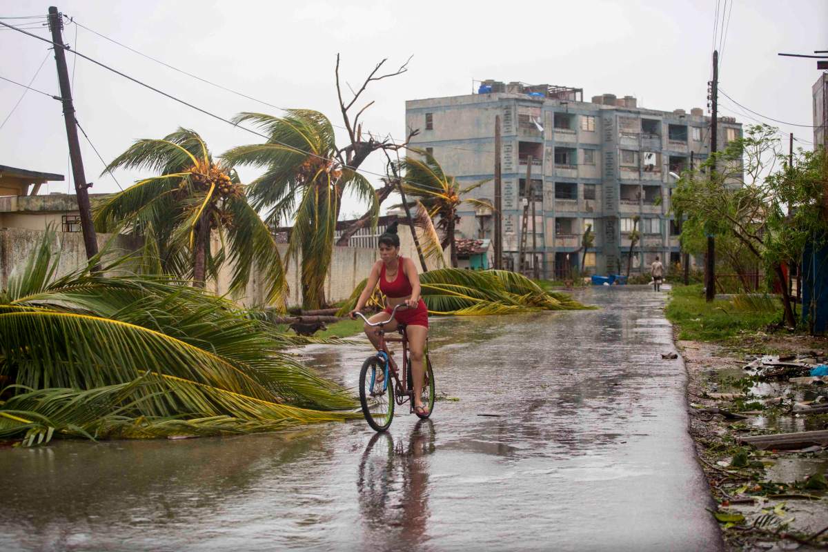 A woman rides a bike past palm trees felled by Hurricane Irma, in Caibarien, Cuba, Saturday, Sept. 9, 2017.
