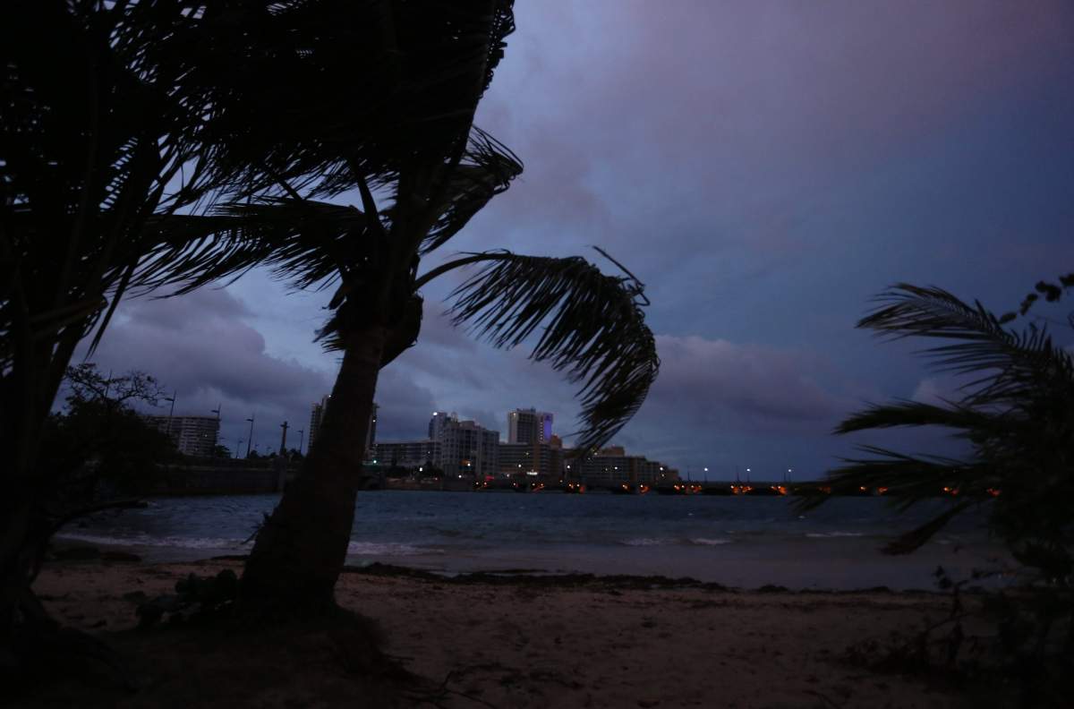 A view of palm trees blowing in the wind in San Juan, Puerto Rico, 19 September 2017.