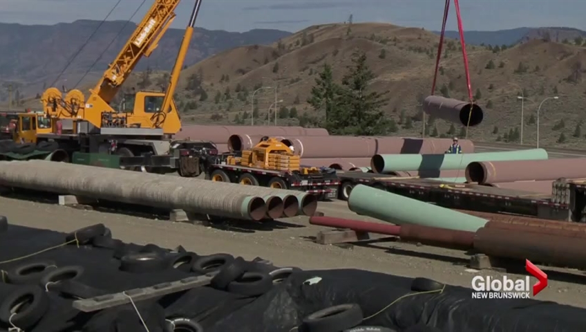 An Alberta minister is blasting the NEB when it comes to the Energy East pipeline.