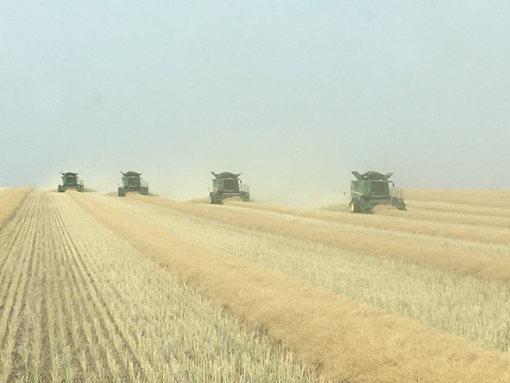 Pablo Benitez took the Your Saskatchewan photo for Sept. 4 near Outlook.