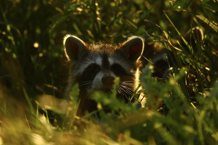 This Sept. 7 Your Saskatchewan photo was taken by Brenda Reifferscheid south of Peterson.