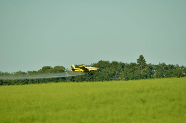 The Your Saskatchewan photo for September 13 was taken at MacDowall by Claudette Mooney.