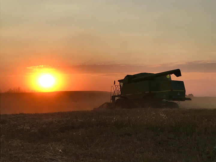 This Your Saskatchewan photo for September 18 was taken by Sundee Zurowski near Southey.