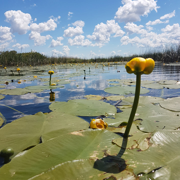 Michael Forman took this September 19 Your Saskatchewan photo at Pike Lake.
