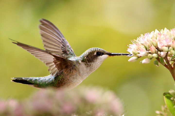 This Your Saskatchewan photo for September 20 was taken in Vanscoy by Margaret Flack.