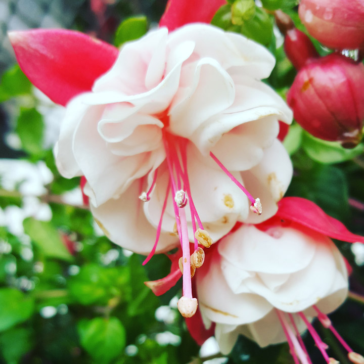 Saskatoon was the setting for Jordan Leis to take this Your Saskatchewan photo for September 21.