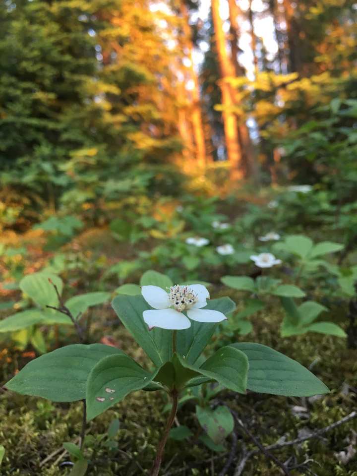 Brian Borisko took this Your Saskatchewan photo for September 22 at Lower Fishing Lake.