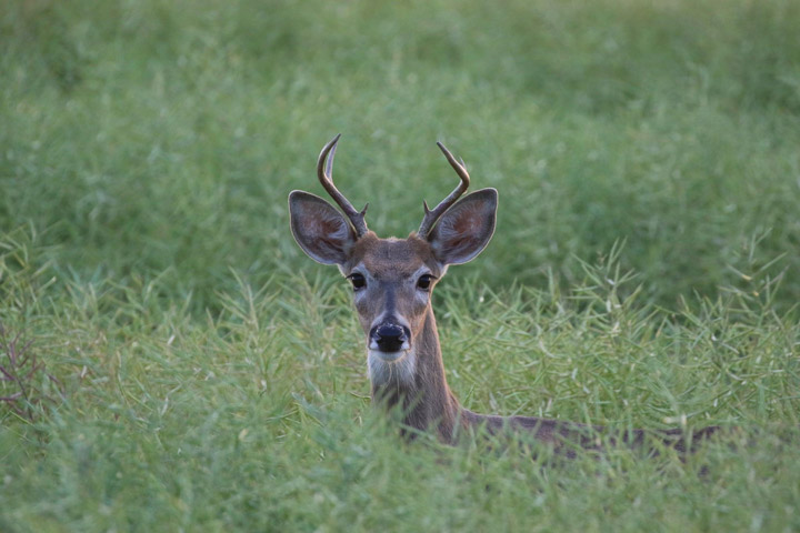 Jim Gawluk took this Your Saskatchewan photo for September 25 in Fosston.