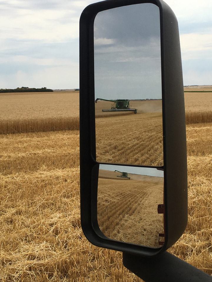 Rosetown was the location where Dianne Ahrens took the Your Saskatchewan photo for September 28, 2017.