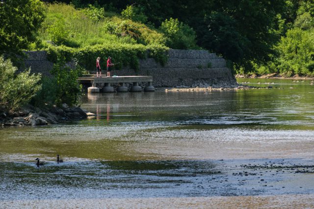Two people fish along the Thames River near Ivey Park on June 14, 2017. (Matthew Trevithick/AM980).