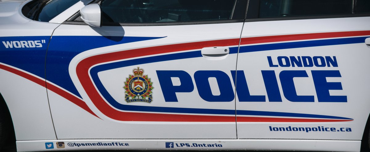 Man charged after machete, drugs seized in Kiwanis Park suspicious person probe: London police - image