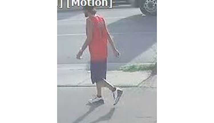 London Police seek to identify man wanted in sexual assault investigation - image