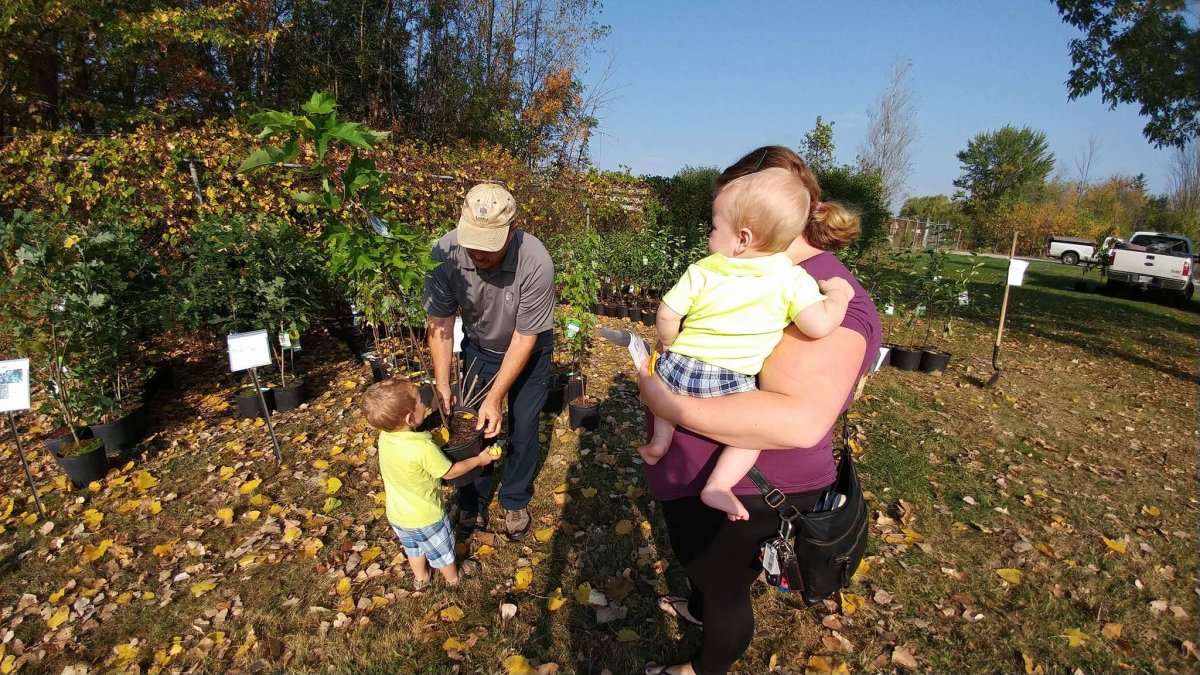 Tasha Cull and her two boys pick a Sugar Maple tree at Reforest London's free tree giveaway event.