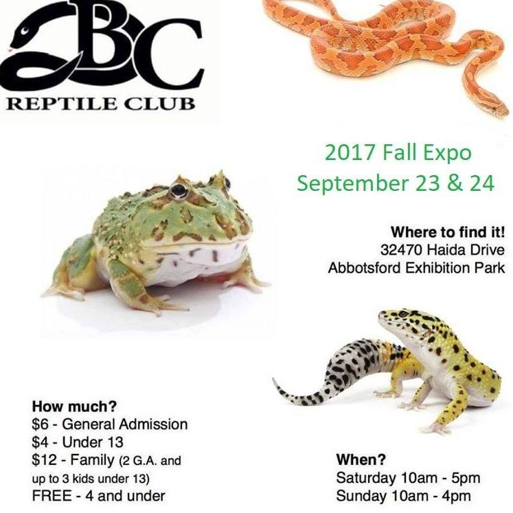BC Reptile Club Fall Expo - image