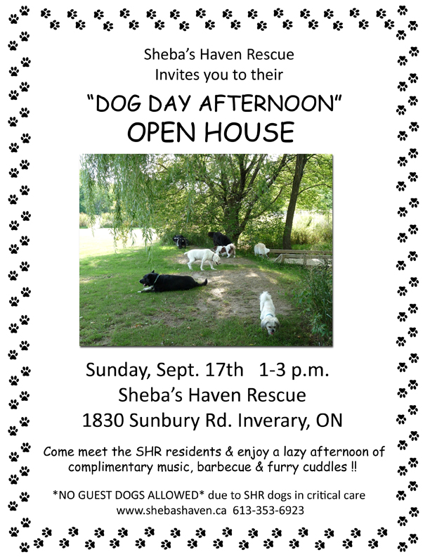 Sheba’s Haven Rescue Open House - image