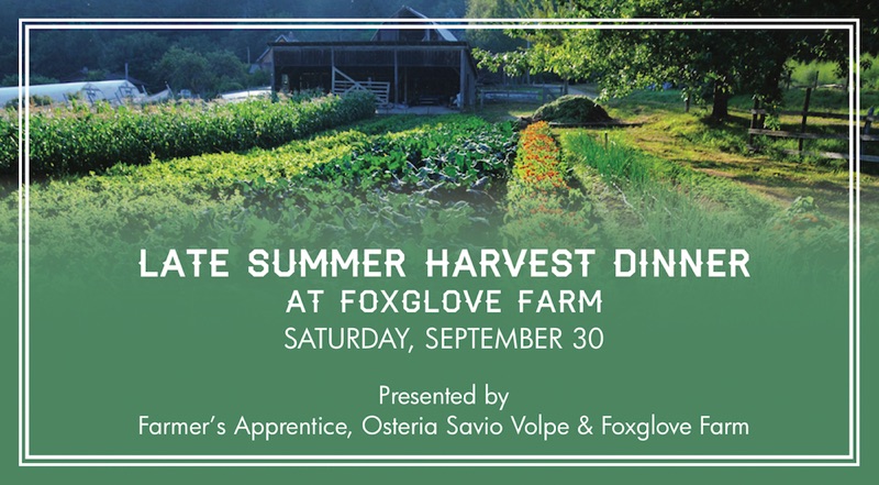 Foxglove Farm Harvest Dinner - image