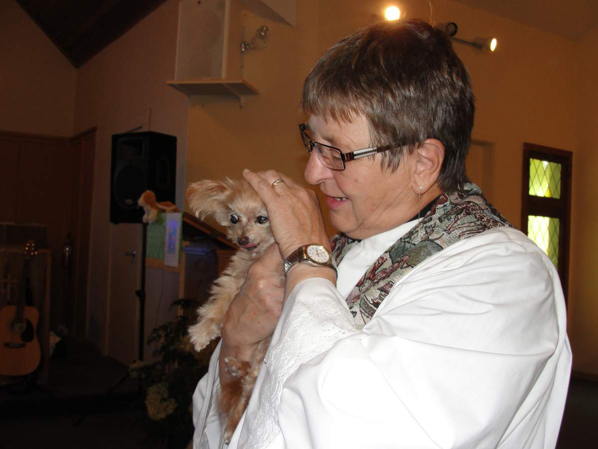 Blessing of the Animals - image