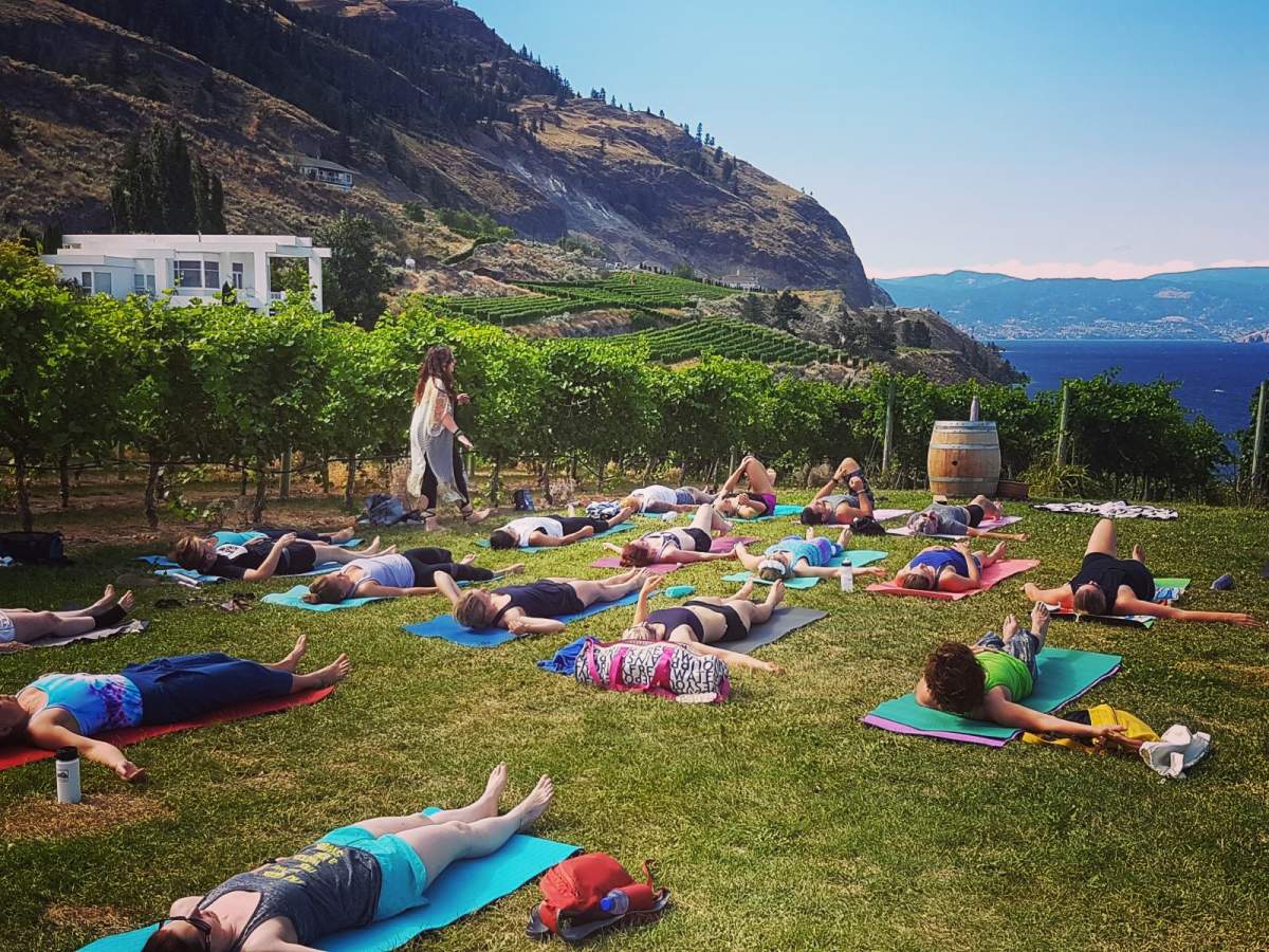 Last event at Evolve Cellars yoga, live music, wine, bubbly & a 2 course lunch!! - image