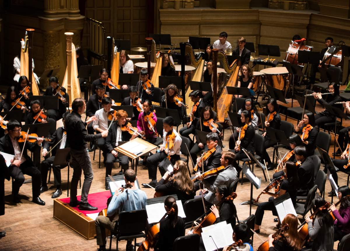 VAM Symphony Orchestra - image