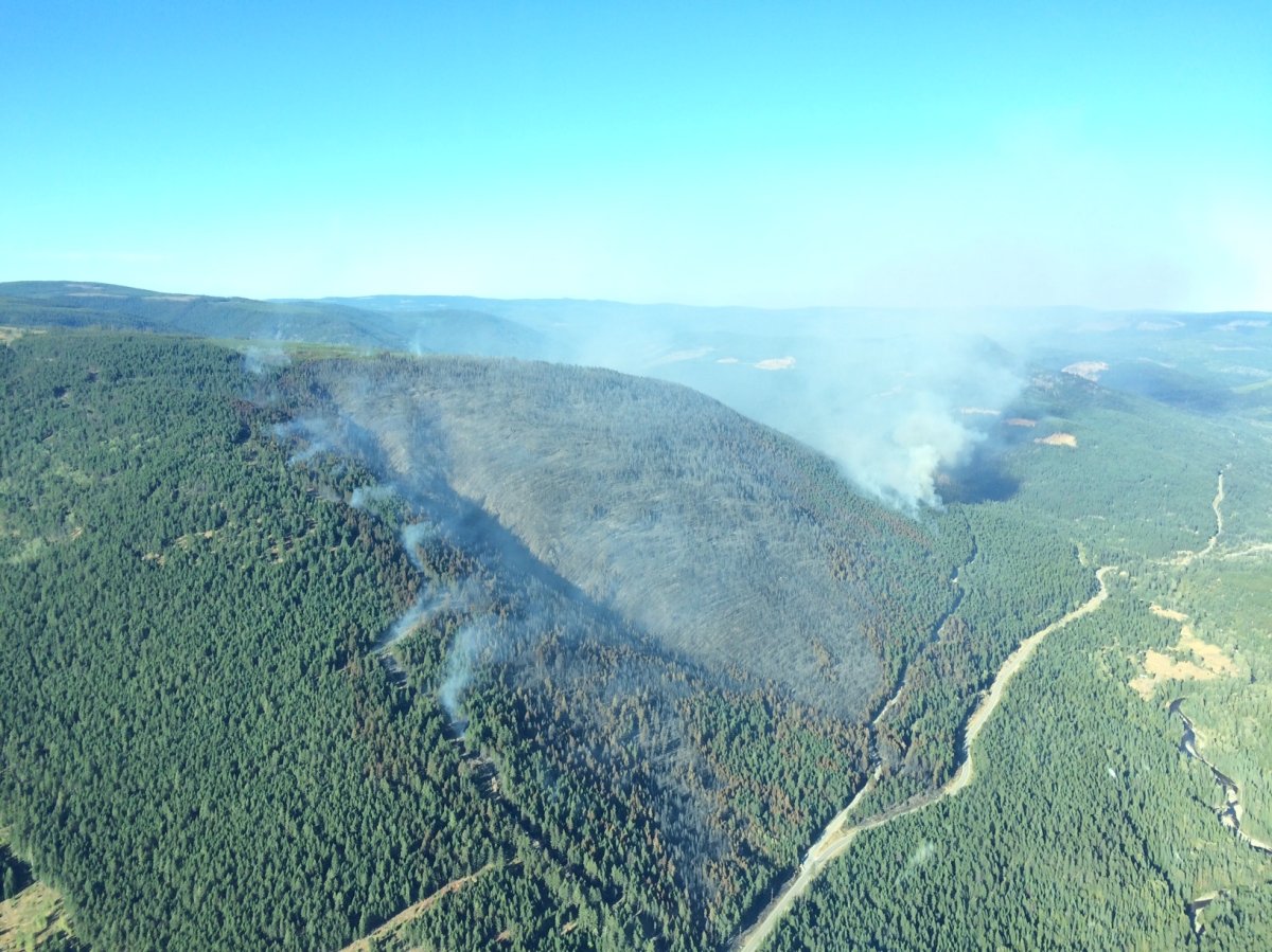 The Philpott Road wildfire, as seen from the air, on August 26, two days after it started. 