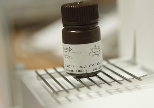 ** FOR RELEASE FRIDAY, APRIL 23 **In this April 13, 2010 photo, 

A gram of psilocybin, the psychoactive ingredient in hallucinogenic mushrooms, is seen on a scale at New York University in New York. 

