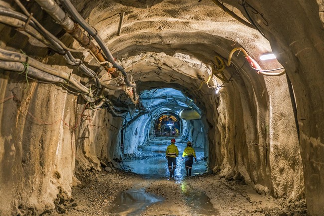 What should young people focus on when making a decision about their careers?.