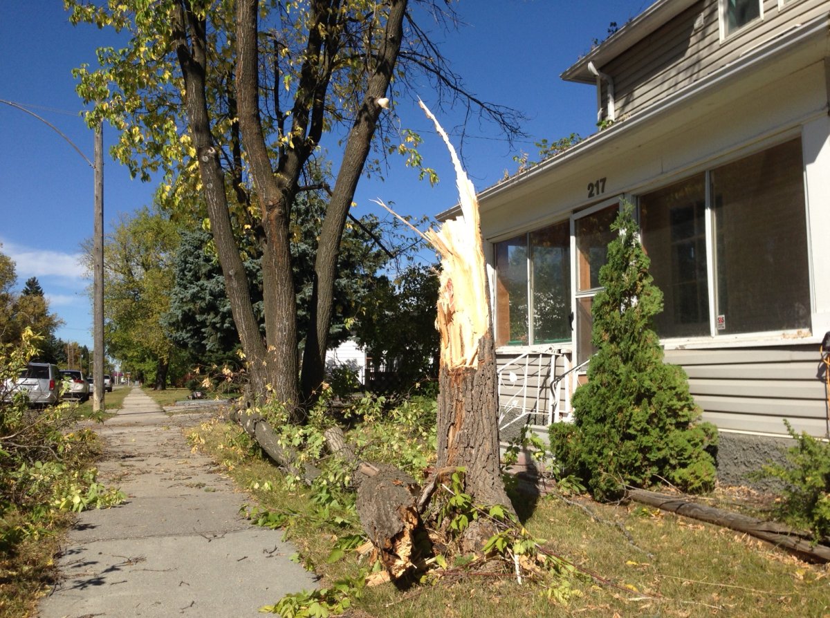 Hundreds still without power in southern Manitoba after Tuesday night storm - image