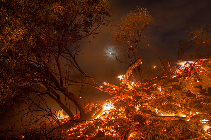 Flames spread on a moonlit night at the La Tuna Fire on September 2, 2017 near Burbank, California.