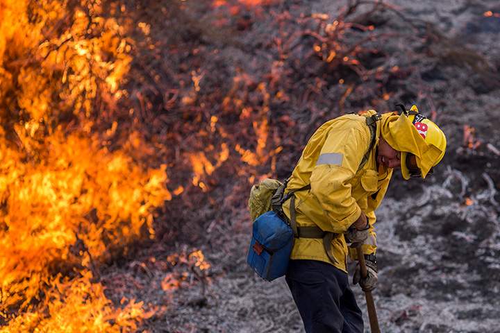 A firefighter recoils from the heat of flames at the La Tuna Fire on September 2, 2017 near Burbank, California.
