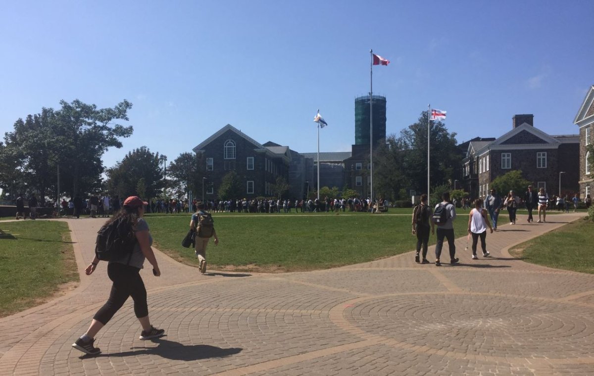 Nova Scotia student group calls for end to “skyrocketing” tuition - image