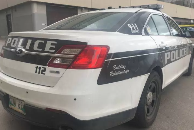 Winnipeg police make arrest in hit and run - image