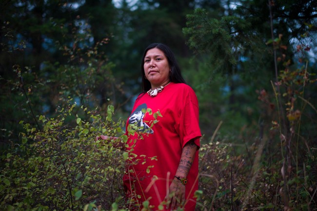 First Nations protesters build tiny homes in Kinder Morgan pipeline path - image