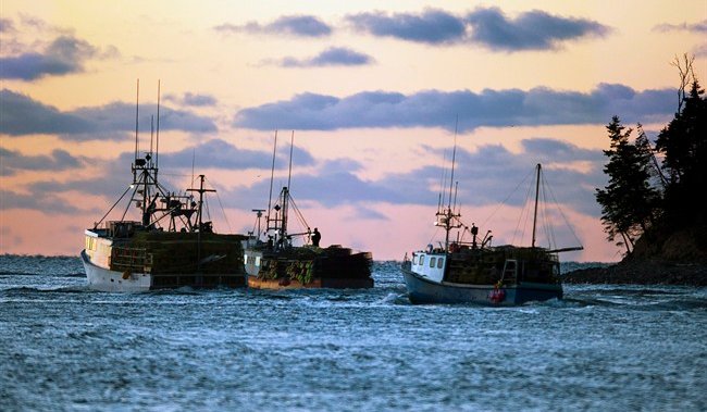 Oceana audit says little progress in Canada’s fishery management over last five years