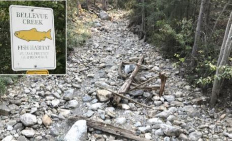 Many B.C. communities are well below their normal precipitation levels for the months of March, April and May. Pictured is Bellevue Creek in Kelowna during a dry spell in 2017.