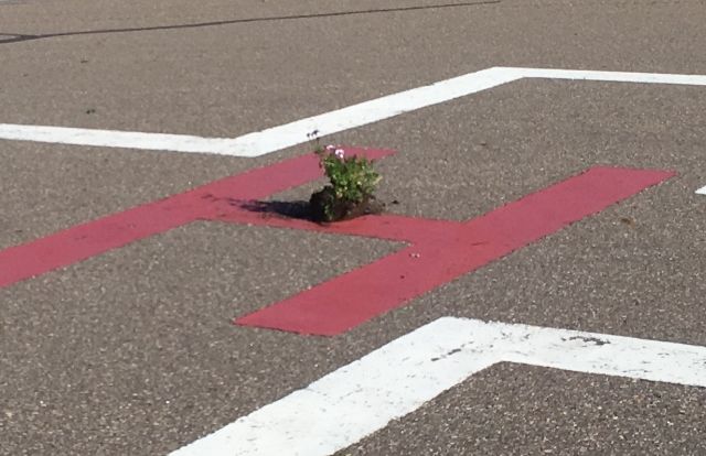RCMP said ten aviation lights and three lenses were broken and a planter was left in the centre of the helipad at the hospital in Elk Point, Alta. September 11, 2017.