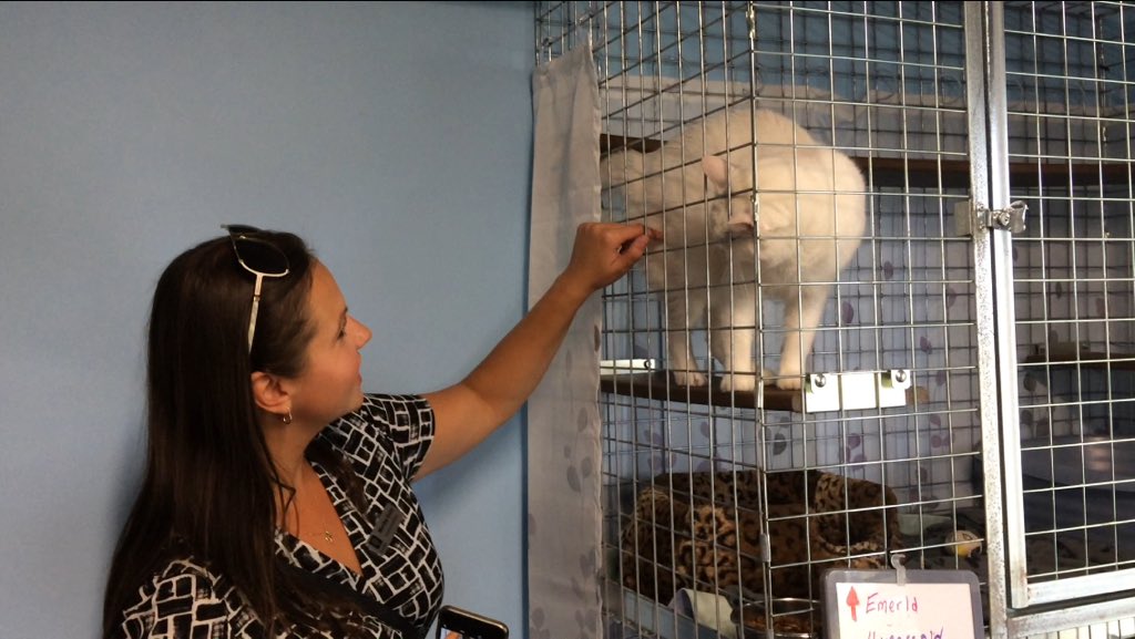 Four-year-old Emerald gets a scratch from one of the shelter’s visitors on Thursday.