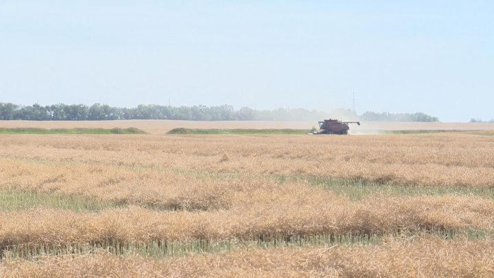 Proposed federal tax changes anticipated to hit Saskatchewan farmers hard - image