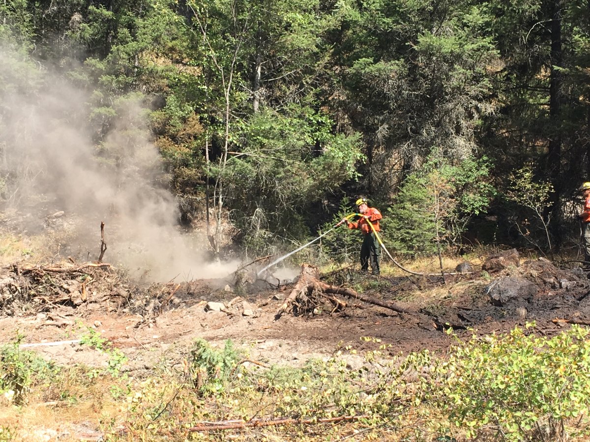 Finlay Creek wildfire south of Peachland 100 per cent contained - image