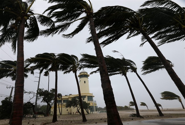A new hurricane developed off Mexico's Pacific Coast on Monday and forecasters said it is likely to grow into a major storm, although it is not expected to pose any threat to land.