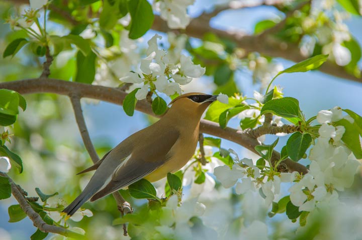 Garfield MacGillivray took this Sept. 23 Your Saskatchewan photo at Quill Lake.