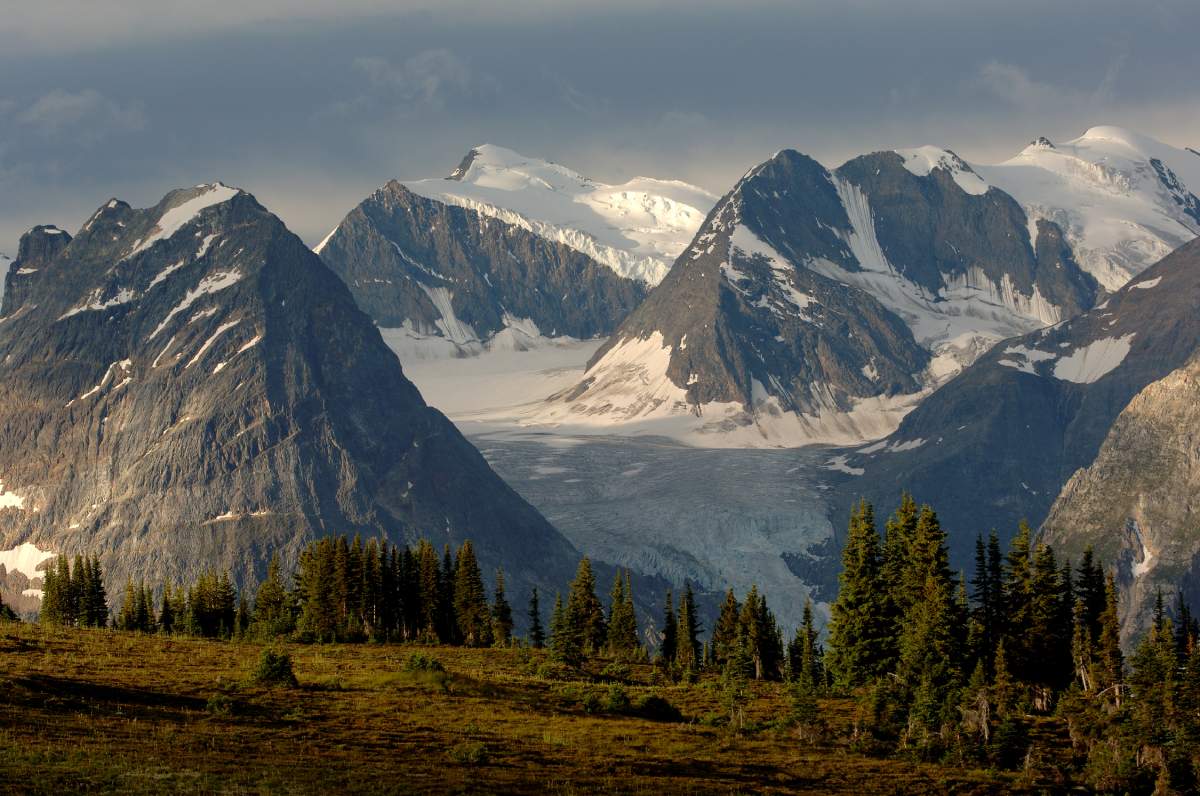 View of glaciers and mountain peaks in Glacier National Park.