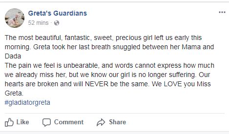 3-year-old Calgary cancer patient Greta Marofke has passed away - image