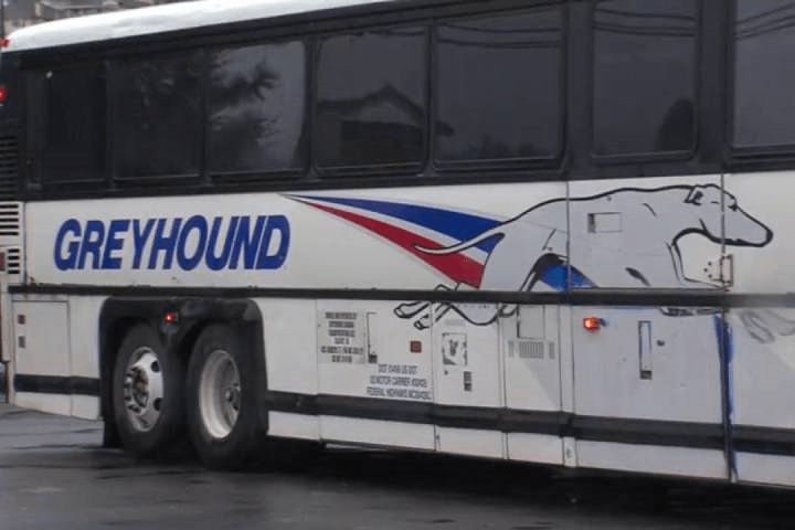 Greyhound says the cause of the crash is still under investigation.