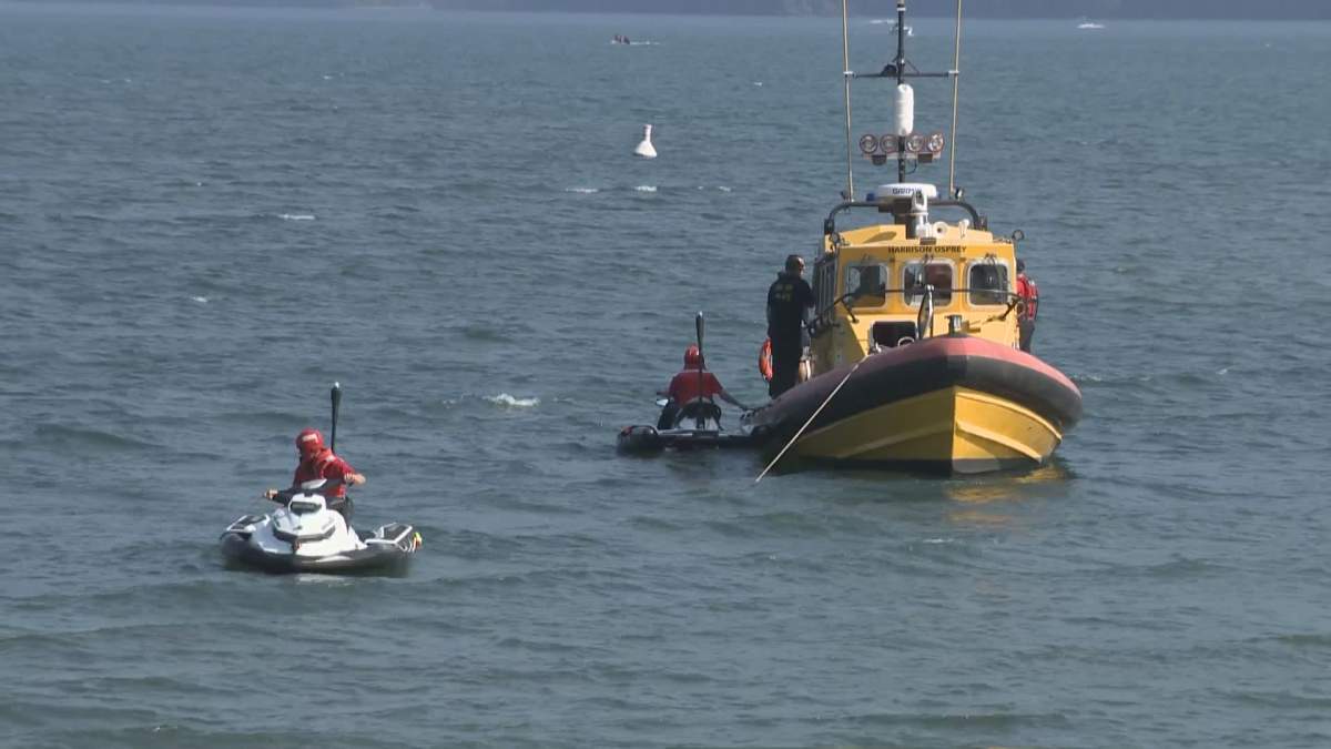 Teen and young man drown in Harrison Lake - image