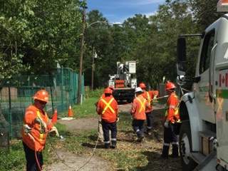 Linemen with TALTREES Power work in St. Petersburg Florida.