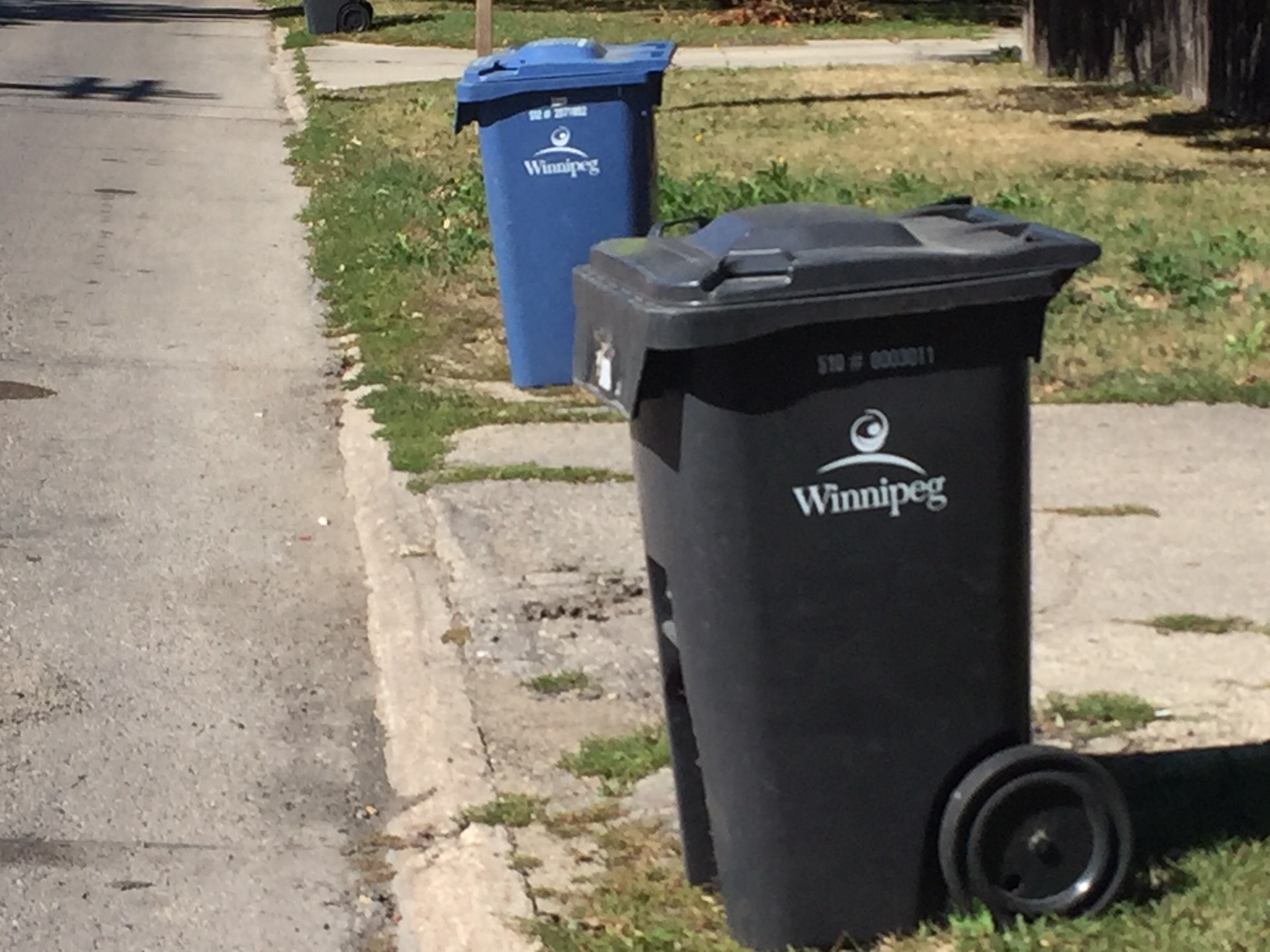 City of Winnipeg asks residents for input on garbage and recycling programs