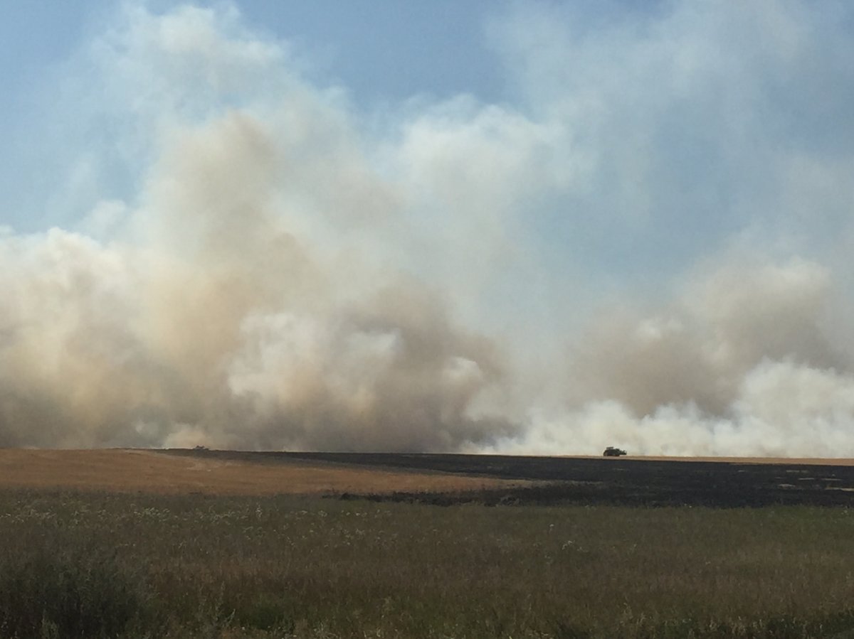 Fire crews were battling a grass fire that got out of control just south of Ring Road on Sunday. 